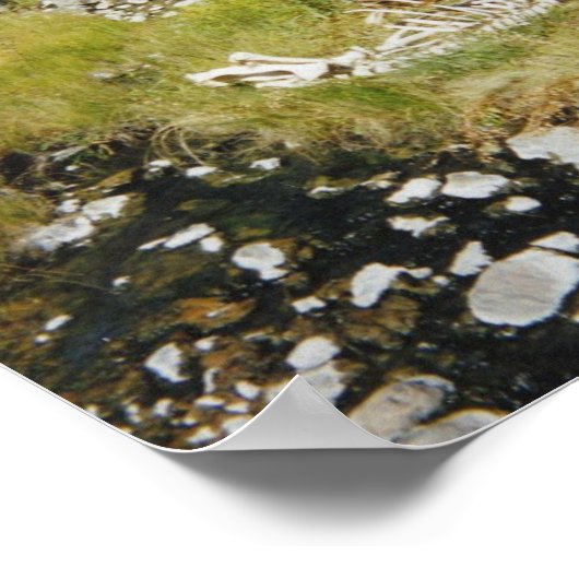 Poster Squelette d'Elk (Coin)