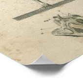 Poster Squelette d'impression Anatomie vintage (Coin)