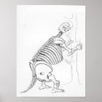 Squelette d'un Mylodon