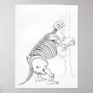 Poster Squelette d'un Mylodon