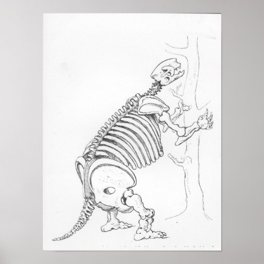 Poster Squelette d'un Mylodon (Devant)