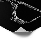 Poster squelette et chauve-souris (Coin)