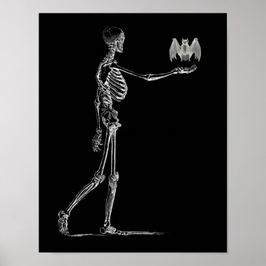 Poster squelette et chauve-souris (Devant)