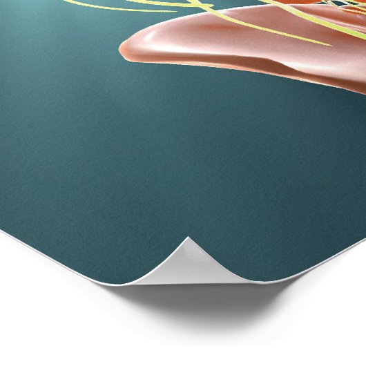 Poster Squelette et Nerves (Coin)