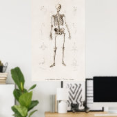 Poster Squelette humain (Bureau à domicile)