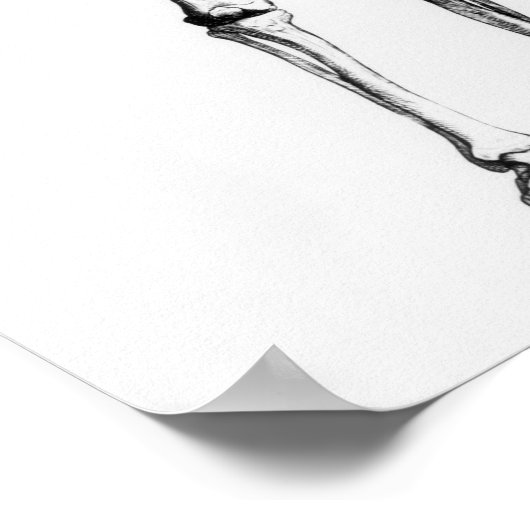 Poster Squelette humain (Coin)