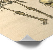 Poster Squelette humain Anatomie de la colonne vertébrale (Coin)