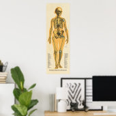 Poster Squelette humain Anatomie des os Graphique Femme (Bureau à domicile)