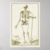 Poster Squelette vintage, Anatomie humaine par Denis Dide (Devant)