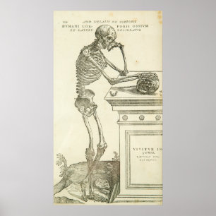 Poster Squelette vintage d'Andreas Vesalius d'anatomie