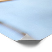 Poster Squirrel (Coin)