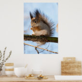 Poster Squirrel (Cuisine)