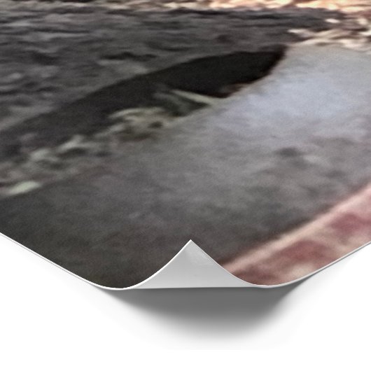 Poster Squirrel (Coin)