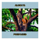 Poster Squirrel Animal (Devant)