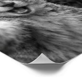 Poster Squirrel Bigfoot Surprised Selfie (Coin)