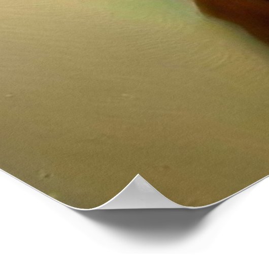 Poster Squirrel Druid (Coin)