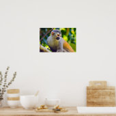 Poster Squirrel monkey in Manuel Antonio NP - Costa Rica (Cuisine)