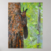Poster Squirrel on Pine Tree – Realistic Oil Painting (Devant)
