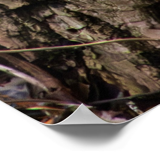 Poster Squirrel on Standby (Coin)