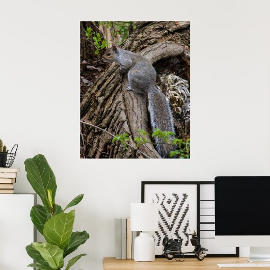 Poster Squirrel on Standby (Bureau à domicile)