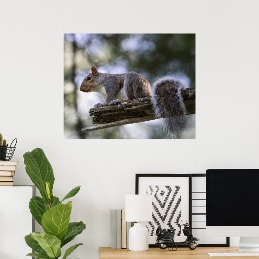 Poster Squirrel Perched on a Tree Branch (Bureau à domicile)