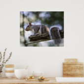 Poster Squirrel Perched on a Tree Branch (Cuisine)