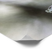 Poster Squirrel Perched on a Tree Branch (Coin)