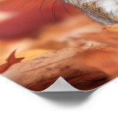 Poster Squirrel Wild Animal Loving Portrait  (Coin)