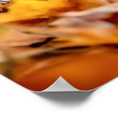 Poster Squirrel Wild Animal Loving Portrait  (Coin)