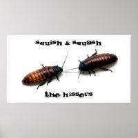 Squish & Squash, Hissers