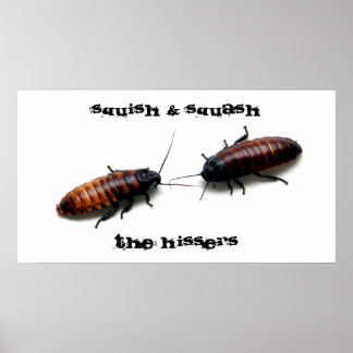 Poster Squish & Squash, Hissers