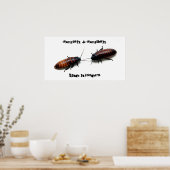 Poster Squish & Squash, Hissers (Cuisine)