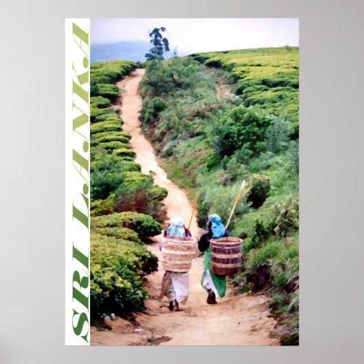 Poster Sri Lanka (Devant)