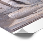 Poster Sri Lanka 1 (Coin)