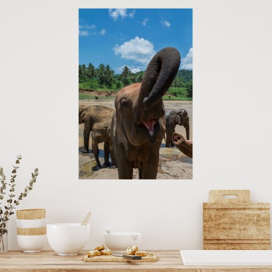 Poster Sri Lanka éléphant (Cuisine)