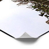 Poster St. Ann's (Coin)