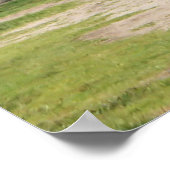 Poster St Augustine Florida fort castillo de san marcos (Coin)