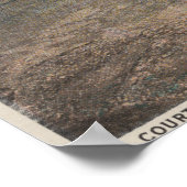 Poster St. Augustine, Floride - Oeil de Ft. Mario (Coin)