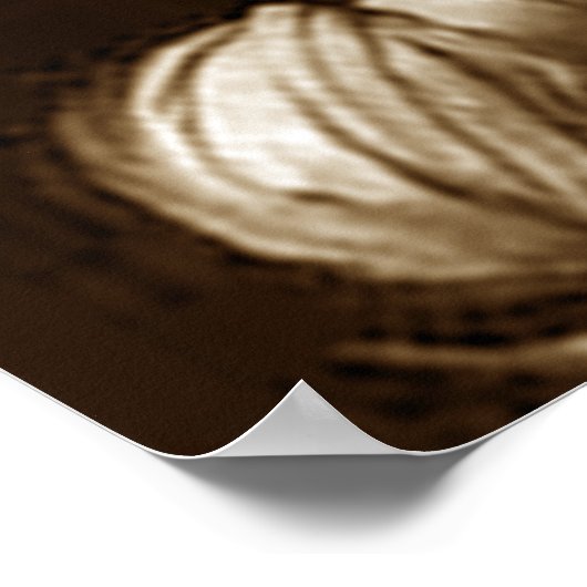 Poster St. Cecilia (Coin)