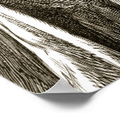 Poster St. Columba changes bitter fruit into sweet from (Coin)