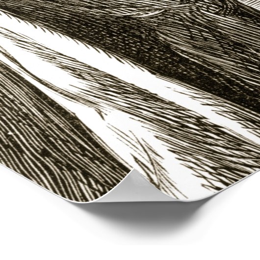 Poster St. Columba changes bitter fruit into sweet from (Coin)