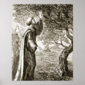 Poster St. Columba changes bitter fruit into sweet from (Devant)