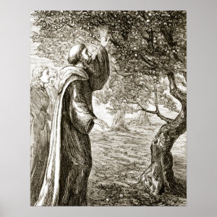 Poster St. Columba changes bitter fruit into sweet from