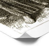 Poster St. Columba scandant, et attaqué par les druides, (Coin)