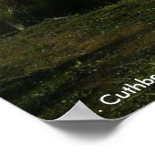 Poster St. Cuthbert's Cross, Alnmouth Northumberland (Coin)