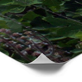 Poster St George, Bermudes (Coin)