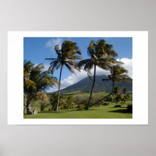 Poster St. Kitts Plantation