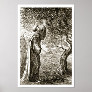 Poster St Le Columba change le fruit amer en bonbon, de