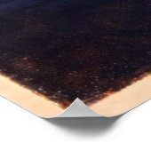 Poster St. Louis Missouri Centennial (Coin)