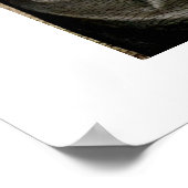 Poster St. Stephen By Giotto Di Bondone (Coin)